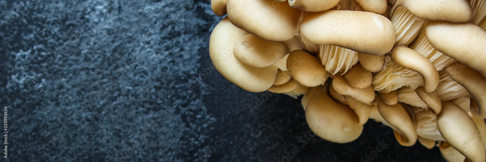 oyster mushrooms, fresh and ripe, keto or paleo diet menu concept background. top view. copy spaces for text oyster mushrooms, fresh and ripe, keto or paleo diet menu concept background. top view. copy spaces for text