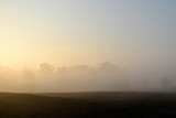 Summer landscape. Fog on the background of a field with trees and sunny sunset.