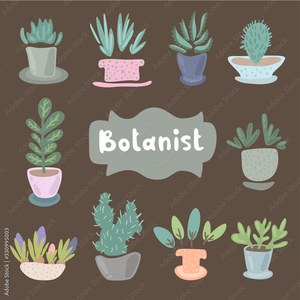 House plants and flowers in pots for interior decoration. Set of adorable miniature plants design elements. Leaf and flowers icon, flowerpot isolated objects. Clip art vector set of flat illustration. House plants and flowers in pots for interior decoration. Set of adorable miniature plants design elements. Leaf and flowers icon, flowerpot isolated objects. Clip art vector set of flat illustration.
