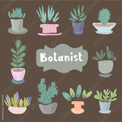 House plants and flowers in pots for interior decoration. Set of adorable miniature plants design elements. Leaf and flowers icon, flowerpot isolated objects. Clip art vector set of flat illustration.