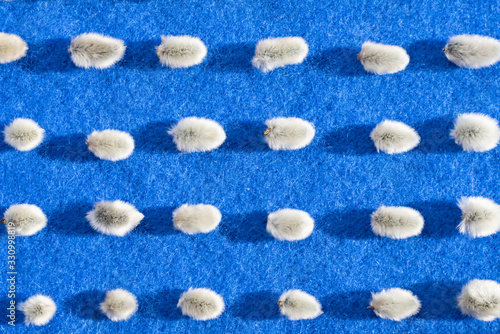 Pattern with a lot of fluffy willow earrings on a blue background from knitted Angora wool