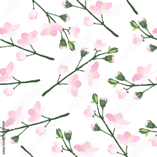 Decorative seamless pattern with hand drawn cherry blossom sakura branch. Spring natural texture with cherry tree blooming japanese flower isolated on white background. Vector eps10 illustration