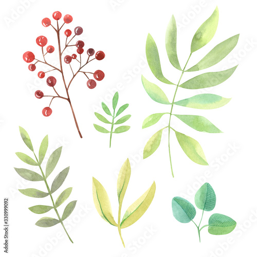 Clipart of watercolor twigs with leaves in green shades and twigs with red berries. Drawn by hand