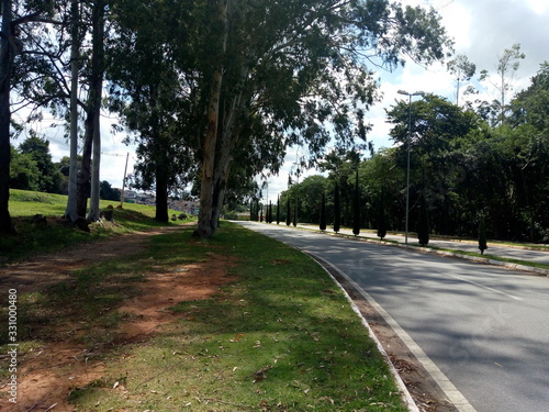 minhas fotos