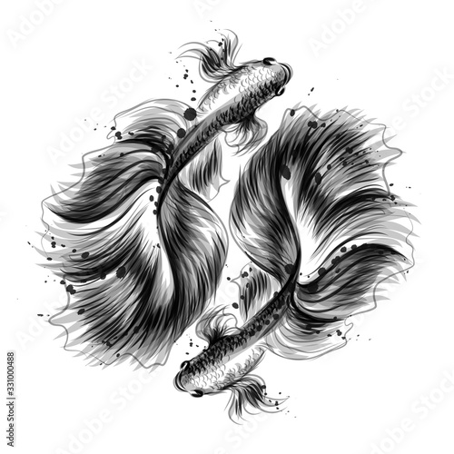 Fishes. Artistic, black-and-white, hand-drawn image of two Cockerel fish in watercolor style on a white background.