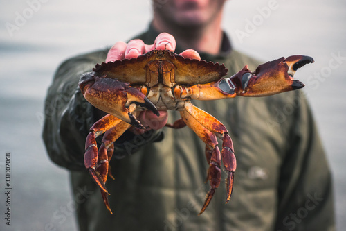 Fisherman with Fresh Rock Crab photo