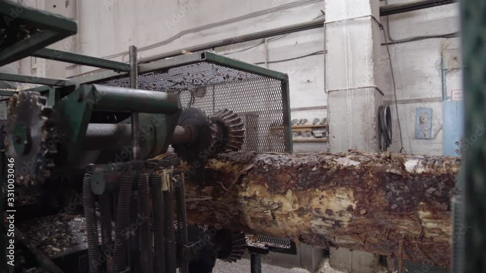 Processing of round timber logs for building wooden house. Removing bark from logs using a machine. Pattern of logs. Woodworking factory. Lumber Industry Processing of round timber logs for building wooden house. Removing bark from logs using a machine. Pattern of logs. Woodworking factory. Lumber Industry