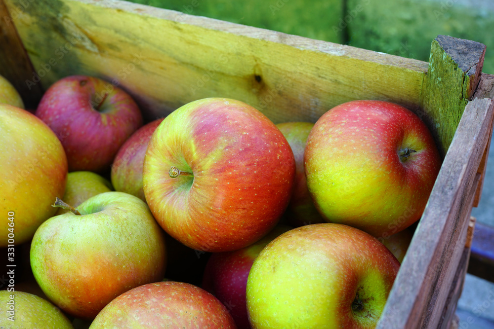 Fresh red and yellow apples at a farmers market Fresh red and yellow apples at a farmers market