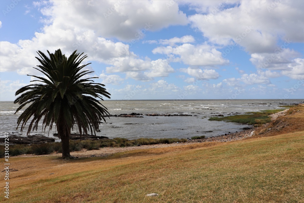 The beautiful landscape of the coast of Montevideo seen from the Rambla. The beautiful landscape of the coast of Montevideo seen from the Rambla.