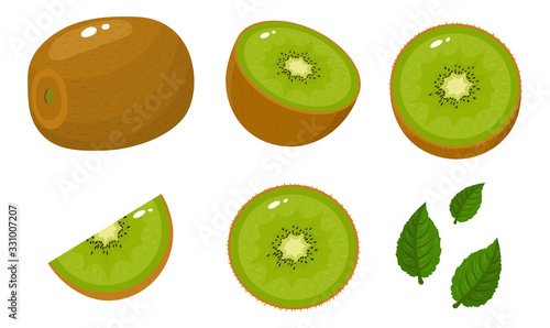Set of fresh whole, half, cut slice and leaves kiwi fruit isolated on white background. Summer fruits for healthy lifestyle. Organic fruit. Cartoon style. Vector illustration for any design.