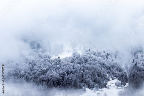 View of the forest and the mountains in the mist in winter - Morzine Valley, France © Romain TALON