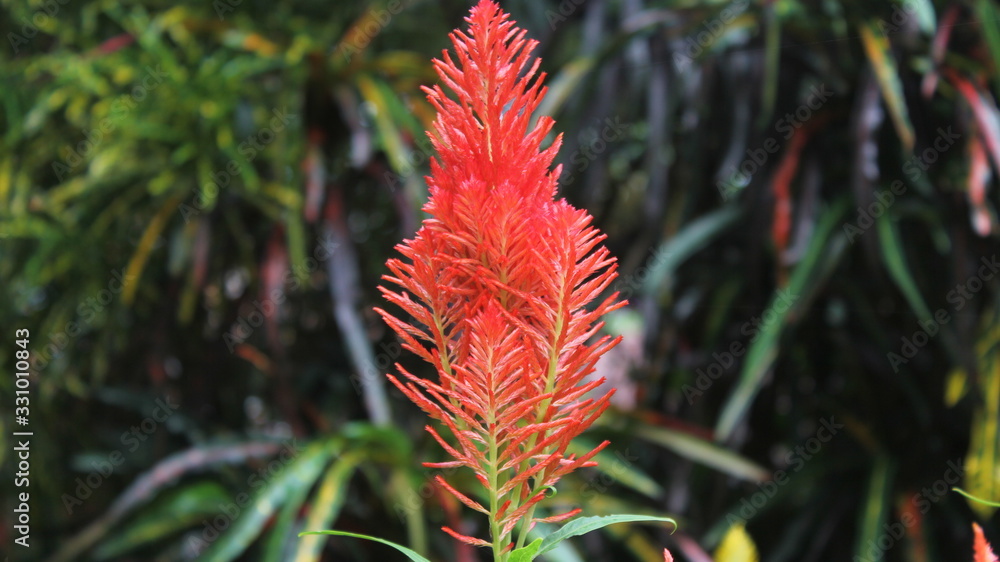 Travel in some world