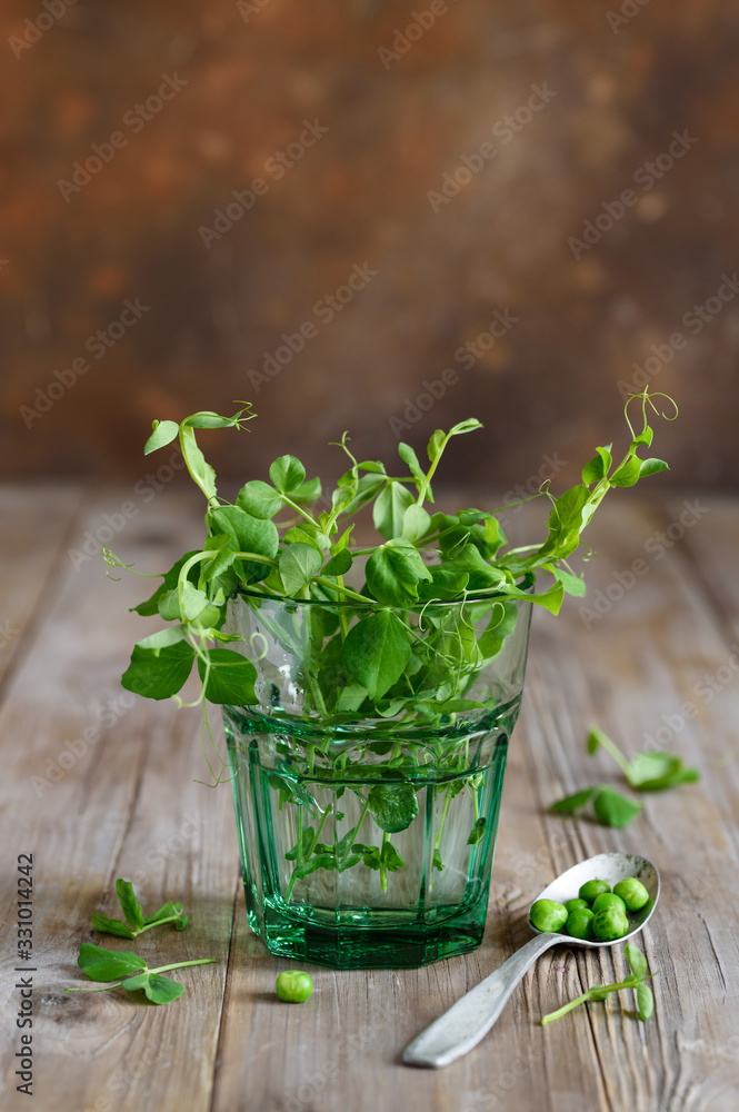 Fresh young pea sprouts in a glass on a wooden table. Rustic style. Green pea shoots. Selective focus. Fresh young pea sprouts in a glass on a wooden table. Rustic style. Green pea shoots. Selective focus.