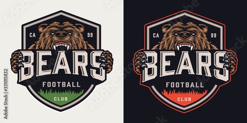 Vintage soccer club colorful emblem