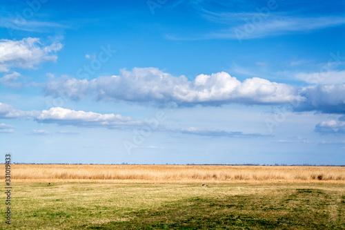 Field and meadow at lake neusiedlersee in Burgenland