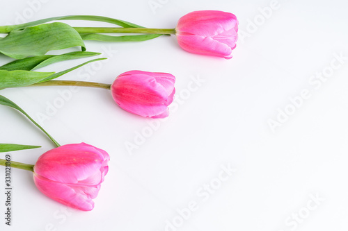 Side view of three small vivid pink tulip flowers and green leaves on a light blue painted wooden table  beautiful indoor floral background photographed with small focus