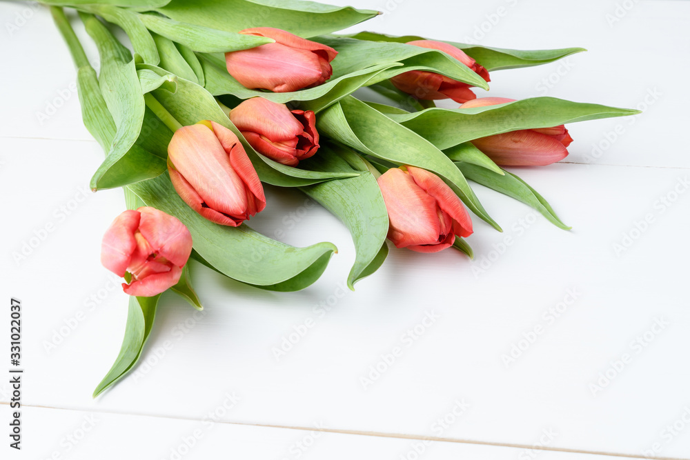 Side view of seven small vivid red tulip flowers and green leaves on a white pained wooden table, beautiful indoor floral background photographed with small focus