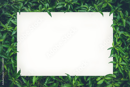 White paper card mockup on green leaves. Blank art board copy space for your text on nature leaf. 