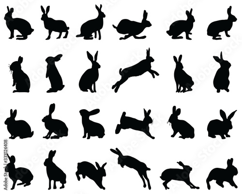 Black silhouettes of rabbits on white background