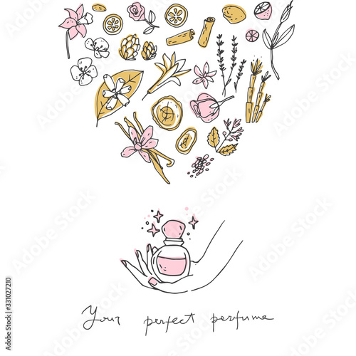 Perfume recipe, bottle and ingredients. Doodle vector illustration.