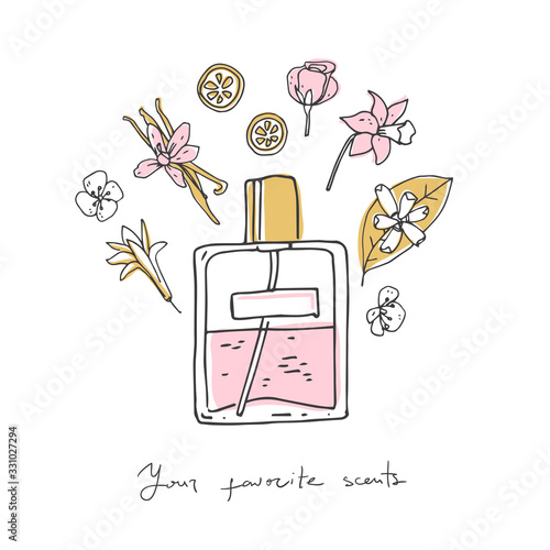Perfume recipe, bottle and ingredients. Doodle vector illustration