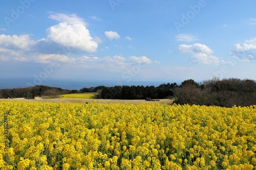 あわじ花さじき