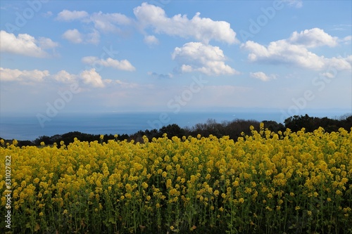 あわじ花さじき