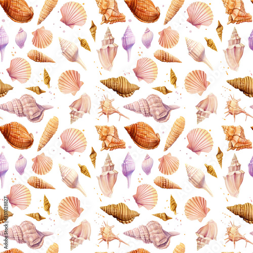 Seamless pattern seashells, isolated on white background. Watercolor hand drawn illustrations