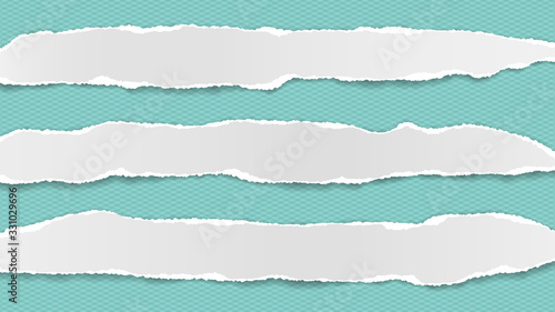 Pieces of torn, ripped white paper with soft shadow are on squared turquoise background for text. Vector illustration