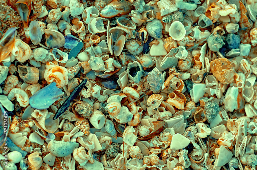 Obraz premium abstract background made of shells