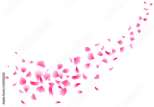 Sakura flying petals. Flowers design. Flowers petals. Isolated on white background. Petals Roses Flowers. illustration