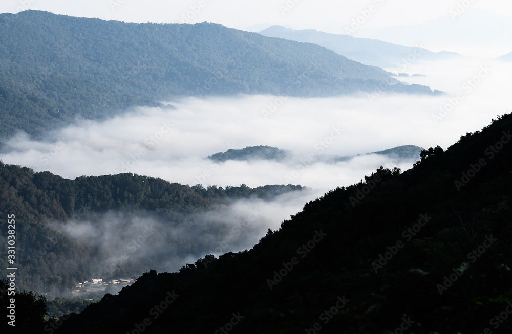 Foggy Morning in the Mountain Valleys