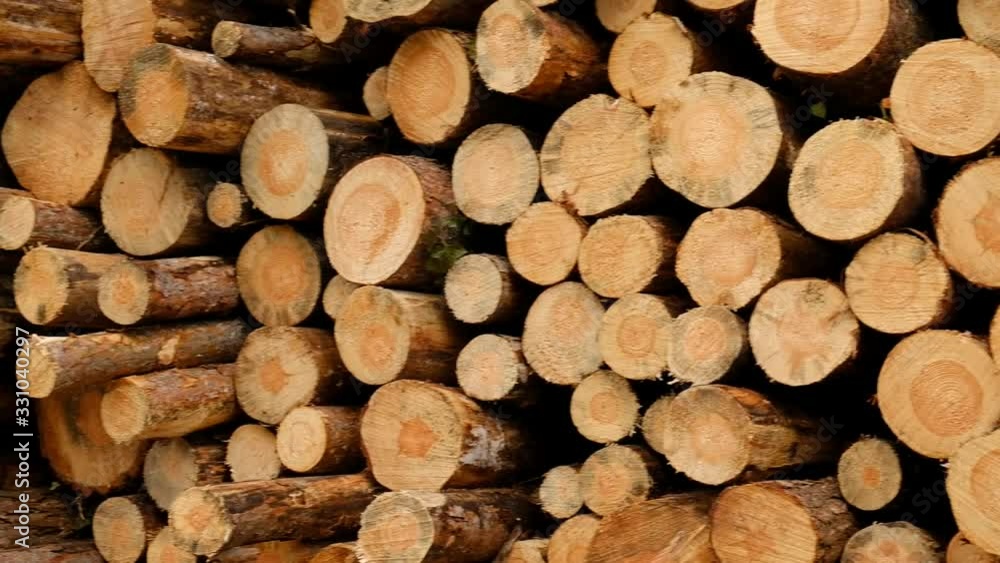 Horizontal pan shot with a closeup of a huge woodpile felled because of pest infestations. Seen in March in Bavaria, Germany Horizontal pan shot with a closeup of a huge woodpile felled because of pest infestations. Seen in March in Bavaria, Germany