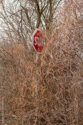 Фотография Traffic stop sign half hidden behind the trees and bushes