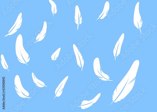 white feather of birds on blue background