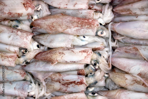 Calamares en el mercado