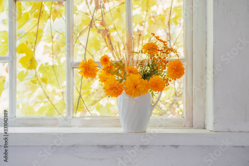 yellow flowers in white jug on windowsill