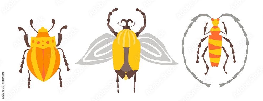 Fototapeta premium Vector Tropical set of exotic insects in flat hand-drawn style. Beetles and cockroaches, insects with wings and mustache. Yellow and orange insects and colorful flat graphics. Stickers, website design