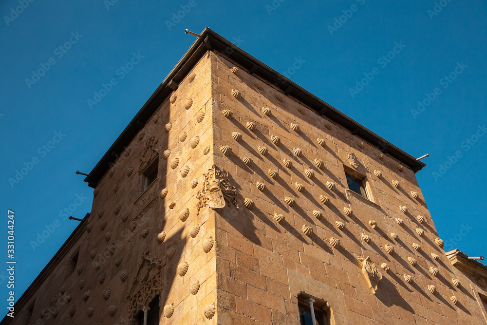 Detail of the facade of the Casa de las Conchas in Salamanca