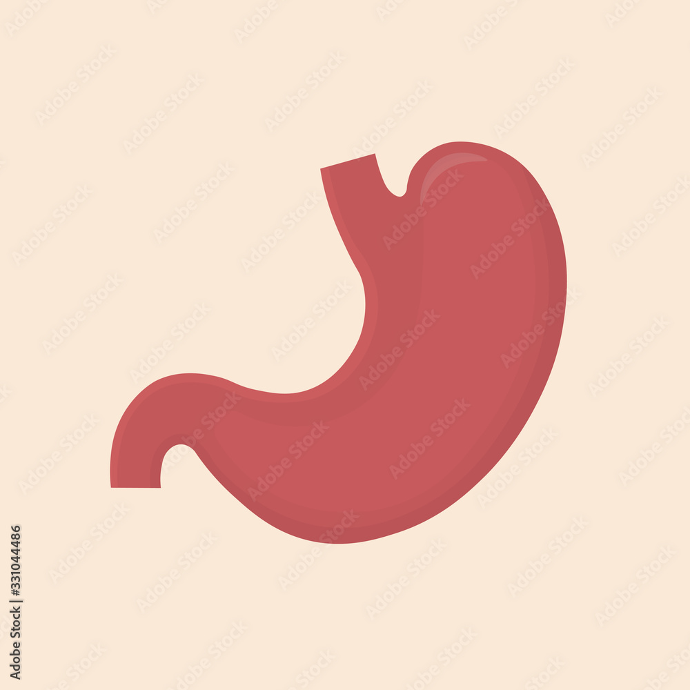 Stomach icon. Human internal organs symbol. Digestive system anatomy. Stomach icon. Human internal organs symbol. Digestive system anatomy.