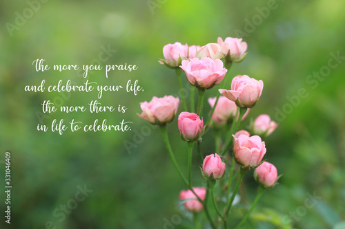 Inspirational quote - The more you praise and celebrate your life, the more there is in life to celebrate. With beautiful pink roses flower blossom in garden on fresh blur green bokeh background.  photo