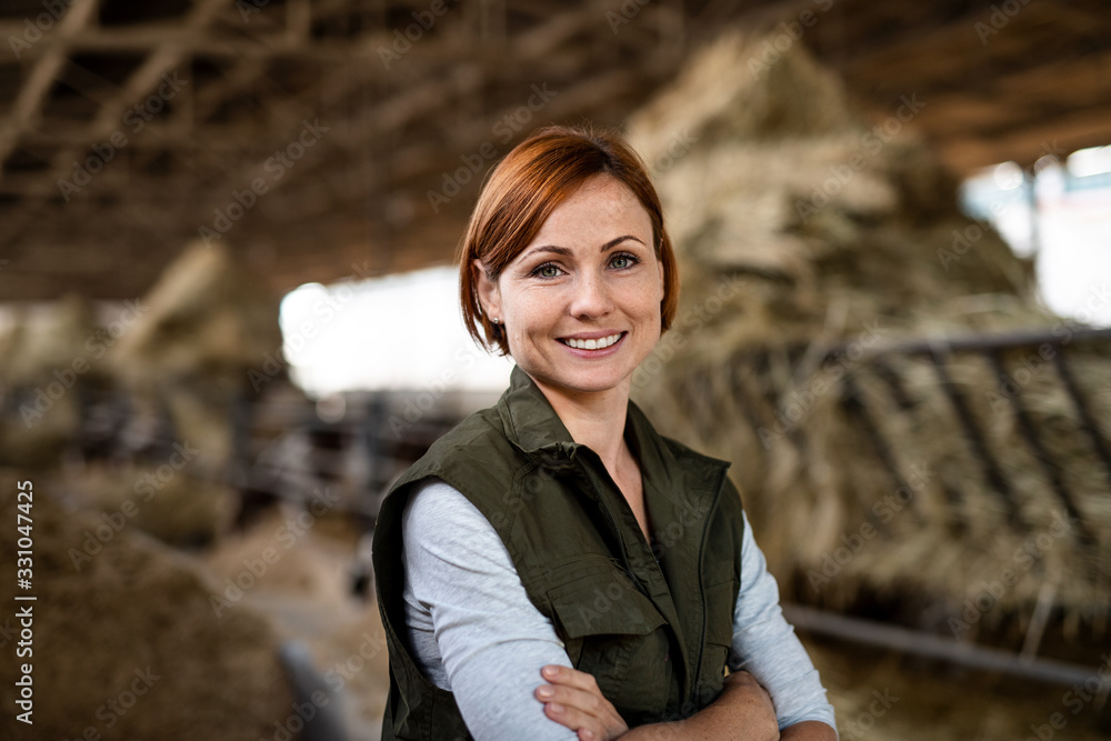 Доярки на ферме. Farm spoiled. Женщина на ферме с молоком. Katherine work in the farm. Katherine work in the farm.