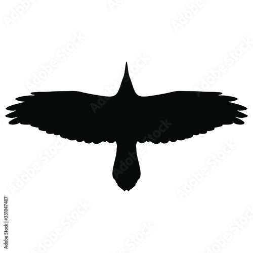 Isolated vector illustration. Silhouette of flying raven bird. 