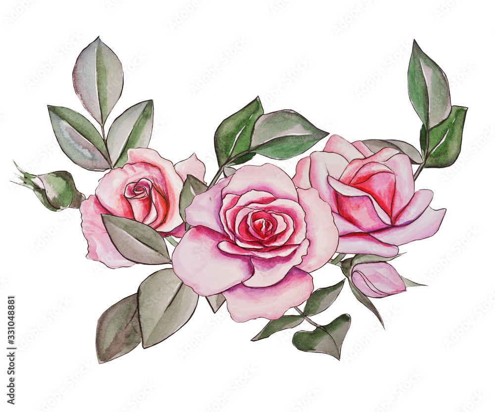  pink roses beautiful stylized flowers. watercolor illustration on white background