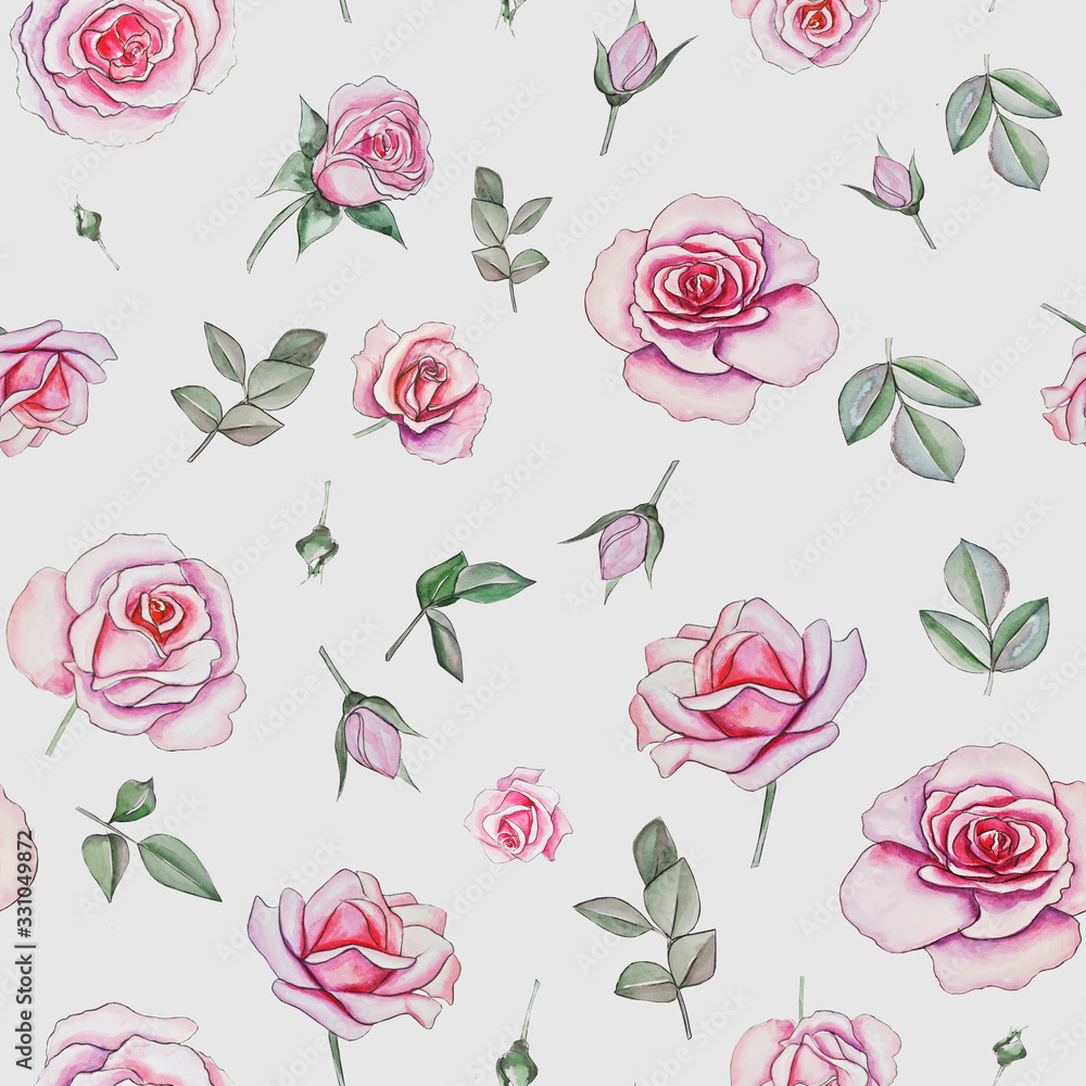  pink roses beautiful stylized flowers. watercolor illustration on white background
