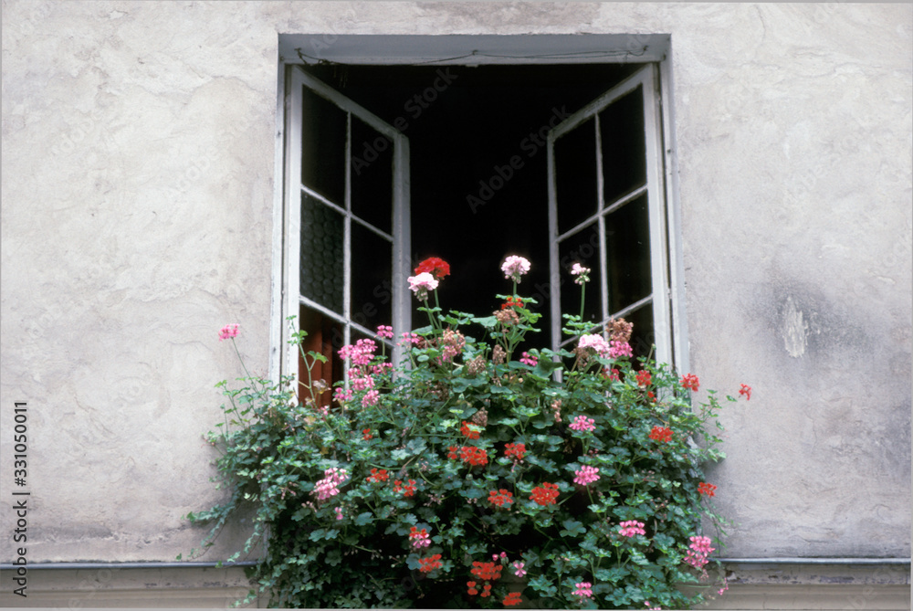 Flowers blooming in window box of Paris house