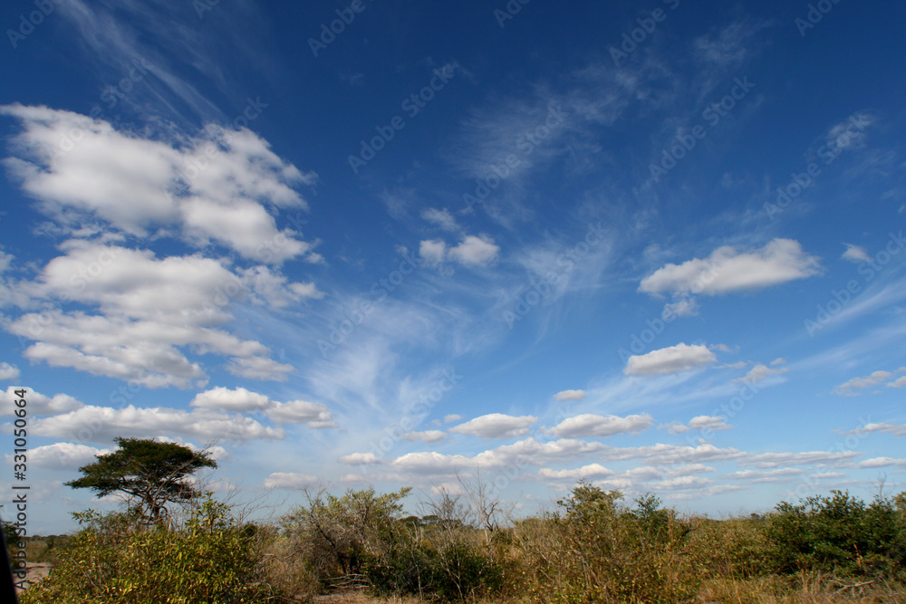 beautiful cloud textures and cover over northern natal beautiful cloud textures and cover over northern natal