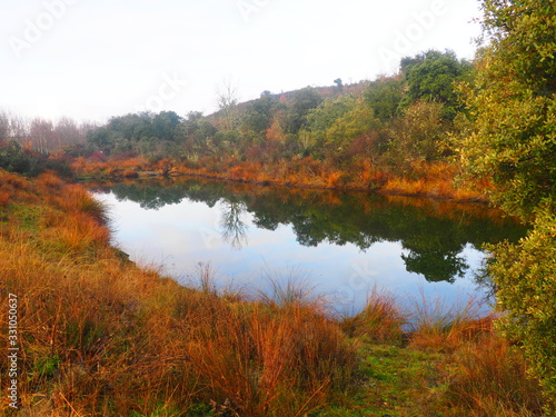 Árboles reflejados en el lago