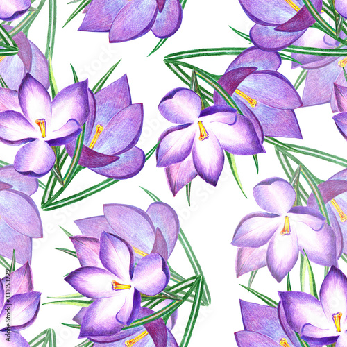 Purple flowers crocus. Floral seamless pattern.