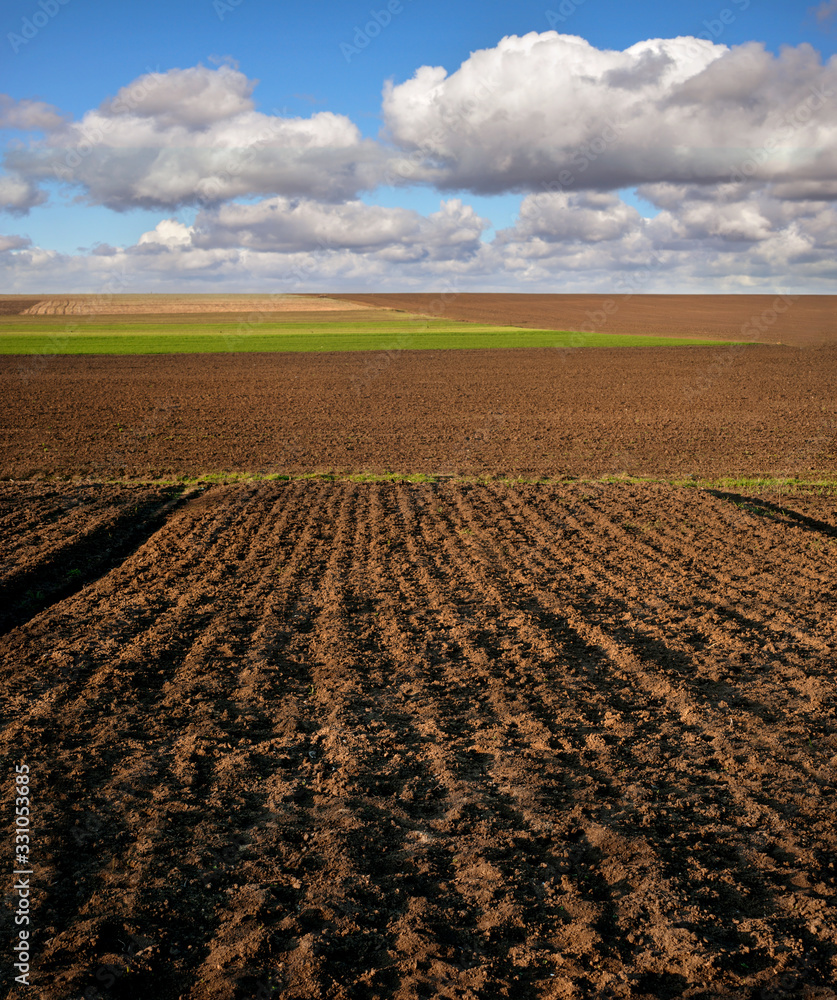 Spring landscape with arable land, rural beds and green field Spring landscape with arable land, rural beds and green field
